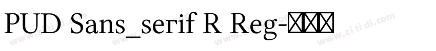 PUD Sans_serif R Reg字体转换